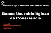 APRESENTAÇÃO DO SEMINÁRIO INTEGRATIVO Bases Neurobiológicas da Consciência Grupo 3C Módulo de Neurociências Prof: Benito 29/06/2009.