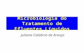 Microbiologia do Tratamento de Efluentes Líquidos Juliana Calabria de Araujo.