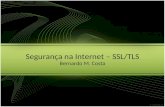 Segurança na Internet – SSL/TLS Bernardo M. Costa.