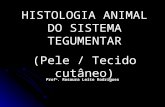 HISTOLOGIA ANIMAL DO SISTEMA TEGUMENTAR (Pele / Tecido cutâneo) Prof a. Rosaura Leite Rodrigues.