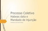Processo Coletivo Habeas data e Mandado de Injunção Professora Ana Paula Godoy.