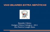 VIAS BILIARES EXTRA HEPÁTICAS Reunião Clínica Estágio Clínica Cirúrgica - 2011 Dra Patrícia Longhi Buso.