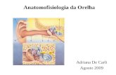 Anatomofisiologia da Orelha Adriana De Carli Agosto 2009.
