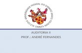AUDITORIA II PROF.: ANDRÉ FERNANDES. PLANEJAMENTO DE AUDITORIA AUDITORIA CAP. 06.