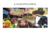 A AGROPECUÁRIA. Agropecuária é toda a atividade do espaço rural relacionada a agricultura e a criação de animais, além dos seus modos de produção.