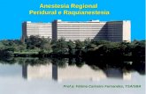 Anestesia Regional Peridural e Raquianestesia Prof.a: Fátima Carneiro Fernandes, TSA/SBA