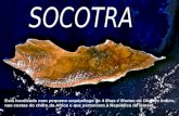 Socotra Está localizada num pequeno arquipélago de 4 ilhas e ilhotas no Oceano Índico, nas costas do chifre da Africa e que pertencem à República do Iemem.