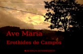 Ave Maria Erothides de Campos  AVANÇO AUTOMÁTICO