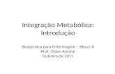 Integração Metabólica: Introdução Bioquímica para Enfermagem – Bloco III Prof. Olavo Amaral Outubro de 2011.