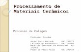 Processamento de Materiais Cerâmicos Processo de Colagem 1 Professor Anselmo André Pinto MachadoRA: 280275 Léo Rodrigo BossonarioRA: 279560 Mauricio Vasconcellos.