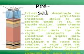 1 Pré-sal é a denominação das reservas petrolíferas encontradas abaixo de uma profunda camada de sal no subsolo marítimo, também chamada de subsal. As.
