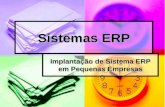 Sistemas ERP Implantação de Sistema ERP em Pequenas Empresas.
