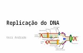 Replicação do DNA Vera Andrade. DNA Macromoléculas polinucleotídica Nucleotídeo Açúcar Base nitrogenada Ácido fosfórico Enzima DNA-polimerase.
