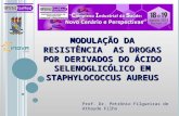 MODULAÇÃO DA RESISTÊNCIA AS DROGAS POR DERIVADOS DO ÁCIDO SELENOGLICÓLICO EM STAPHYLOCOCCUS AUREUS Prof. Dr. Petrônio Filgueiras de Athayde Filho.