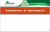 Fundamentos de Agronegócio Prof. Msc. Marielen C. S. marielensilva@unipampa.edu.br Material Prof. Dr. Jairo Bolter.