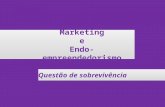 Marketing e Endo-empreendedorismo Questão de sobrevivência.