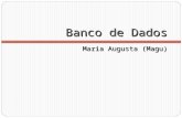 Banco de Dados Maria Augusta (Magu). Dados X Informação Dados – Matéria bruta de que é feita a informação. Valores fisicamente registrados nos bancos.