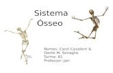 Sistema Ósseo Nomes: Carol Cavalerri & Dante M. Sonaglio Turma: 81 Professor: Jair.