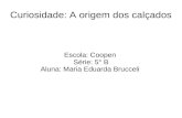 Curiosidade: A origem dos calçados Escola: Coopen Série: 5° B Aluna: Maria Eduarda Brucceli.