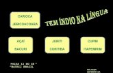 ROLAGEM AUTOMÁTICA FAIXA 11 DO CD “MATRIZ BRASIL”