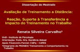 Avaliação de Treinamento a Distância: Reação, Suporte à Transferência e Impacto do Treinamento no Trabalho Renata Silveira Carvalho¹ UnB - Instituto de.