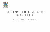 SISTEMA PENITENCIÁRIO BRASILEIRO Profª Leônia Bueno.
