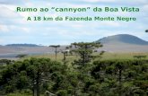 Rumo ao “cannyon” da Boa Vista A 18 km da Fazenda Monte Negro.