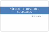 BIOLOGIA NÚCLEO E DIVISÕES CELULARES. COMPONENTES DO NÚCLEO Carioteca Nucleoplasma Nucléolo Cromatina (cromossomos)