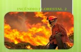 INCÊNDIO FLORESTAL 2. Estatística Planos de Proteção  Todo planejamento de proteção contra incêndios florestais tem como objetivo primário a redução.