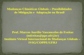 Mudanças Climáticas Globais – Possibilidades de Mitigação e Adaptação no Brasil Prof. Marcos Aurélio Vasconcelos de Freitas (mfreitas@ppe.ufrj.br) Instituto.