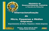 Departamento de Micro, Pequena e Média Empresa Ministério do Desenvolvimento, Indústria e Comércio Exterior Manaus, 09 de abril de 2010 Sergio Nunes de.