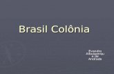 Brasil Colônia Evandro Albuquerque de Andrade. Modelos de colonização da América ► Modelo Português ► Modelo Espanhol ► Colônia de Exploração ► Plantation.