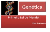 Genética Primeira Lei de Mendel Prof. Lourenço Primeira Lei de Mendel Prof. Lourenço.