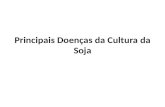 Principais Doenças da Cultura da Soja. Doenças identificadas no Brasil A identificação das doenças e a avaliação das perdas geralmente exigem treinamentos.
