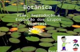 Botânica Vida, Reprodução e Evolução dos Grupos Vegetais. Prof. Magrão.