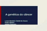 A genética do câncer Lucas Monteiro Galotti de Souza Pedro Ribeiro Rafael Pegoraro.