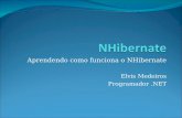 Aprendendo como funciona o NHibernate Elvis Medeiros Programador.NET.