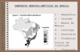 1 - Amazônico 2 - Cerrado 3 - Mares de Morros 4 - Caatinga 5 - Araucária 6 - Pradarias Faixas de Transição 7 - Transição não diferenciada DOMÍNIOS MORFOCLIMÁTICOS.