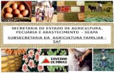 SECRETARIA DE ESTADO DE AGRICULTURA, PECUÁRIA E ABASTECIMENTO - SEAPA SUBSECRETARIA DA AGRICULTURA FAMILIAR - SAF.