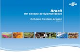 Brasil Um Cenário de Oportunidades Roberto Castelo Branco Diretoria.
