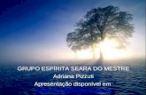 GRUPO ESPÍRITA SEARA DO MESTRE Adriana Pizzuti Apresentação disponível em  .