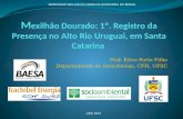 Prof. Érico Porto Filho Departamento de Geociências, CFH, UFSC WORKSHOP MOLUSCOS LIMNICOS INVASORES NO BRASIL Julho 2012.