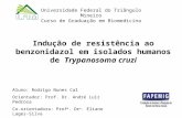 Universidade Federal do Triângulo Mineiro Curso de Graduação em Biomedicina Indução de resistência ao benzonidazol em isolados humanos de Trypanosoma cruzi.