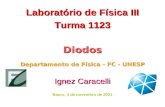 Diodos Laboratório de Física III Turma 1123 Departamento de Física - FC - UNESP Ignez Caracelli Bauru, 22 de setembro de 2015.