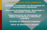 SECRETARIA DO MEIO AMBIENTE SECRETARIA DO MEIO AMBIENTE CETESB – Companhia de Tecnologia de Saneamento Ambiental Diretoria de Engenharia, Tecnologia e.