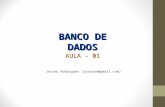 BANCO DE DADOS AULA - 01 Josino Rodrigues (josinon@gmail.com)