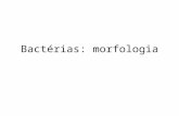 Bactérias: morfologia. Célula procariótica X célula eucariótica Célula procariótica Parede celular: quase sempre contendo peptidoglicano Membrana plasmática.