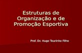 Estruturas de Organização e de Promoção Esportiva Prof. Dr. Hugo Tourinho Filho.