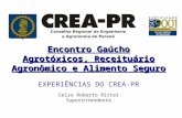 Encontro Gaúcho Agrotóxicos, Receituário Agronômico e Alimento Seguro EXPERIÊNCIAS DO CREA-PR Celso Roberto Ritter Superintendente.