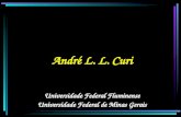 André L. L. Curi Universidade Federal de Minas Gerais Universidade Federal Fluminense.